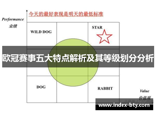 欧冠赛事五大特点解析及其等级划分分析
